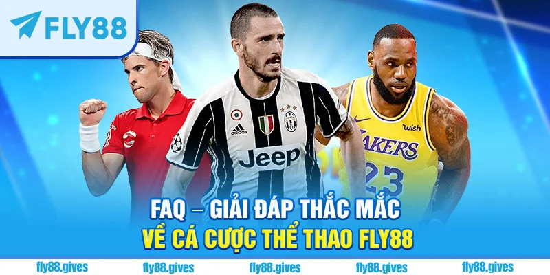 Giải đáp chi tiết về sảnh thể thao Fly88